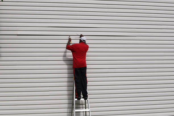 Best Siding Maintenance  in Akron, IA